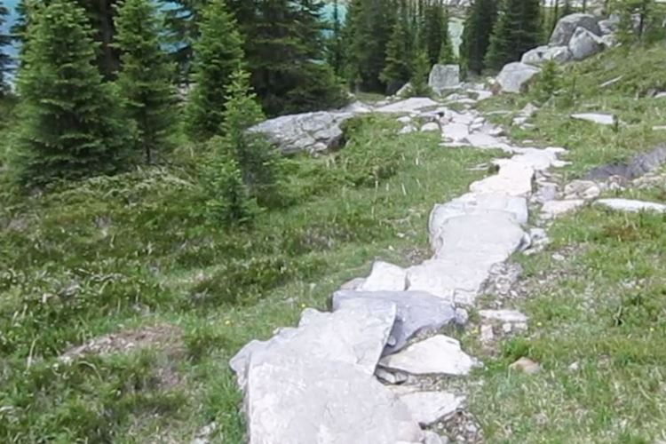 Canada Brit Col: Yoho, Lake O'Hara, , Walkopedia